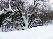 DSCF8122