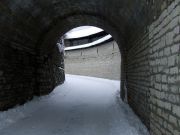 DSCF8236