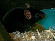 DSCF0033