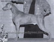 Warheit's Catch'm On The Prowl