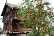 Skansen