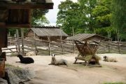 Skansen