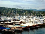 ....boats!)