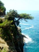 the road from one town to another in Cinque terre