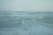 IMG 6460