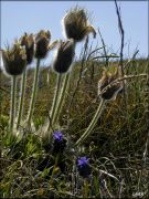 DSCF0058