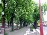 DSCF8921