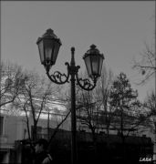 DSCF0045