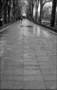 DSCF0138