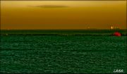 DSCF0174