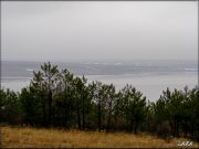 DSCF0168