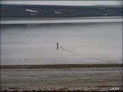 DSCF0216