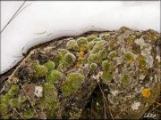 DSCF0228