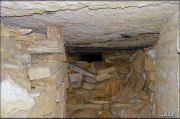 DSCF0295