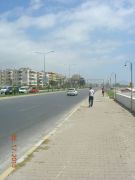 DSCN9391