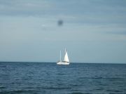 DSCF0241