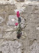 P5230188