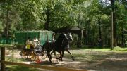 DSC00487