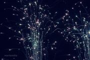 IMG 6819aa