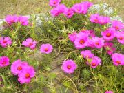 DSCN1043