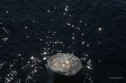 IMG 7724aaa