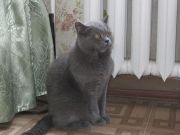 IMG 0082