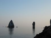 IMG 4541