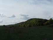 IMG 2365
