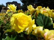 DSCF1281