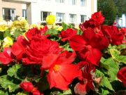 DSCF1284
