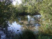 DSCF1306