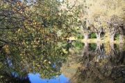 IMG 8831