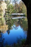 IMG 8886