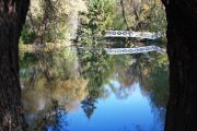 IMG 8887