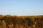 IMG 8968
