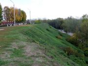 DSCF1338