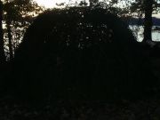 PIC 0059