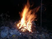 PIC 0067