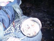 PIC 0080