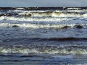 DSCF1516