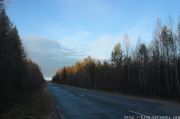 IMG 7090