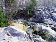 DSCF1566
