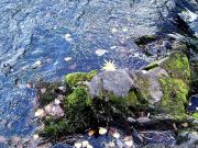 DSCF1573