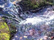DSCF1576