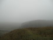IMG 2686