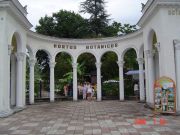DSC02972