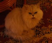 DSC00009