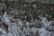Bild 062aa