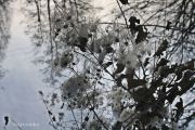 Bild 084aa
