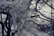 Bild 068aa